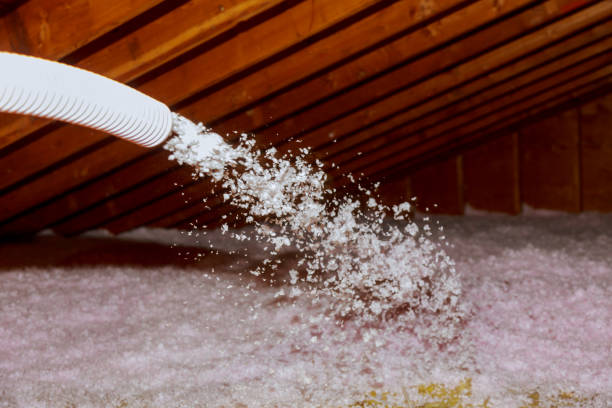 Best Insulation for New Construction  in Riverview Rk, PA