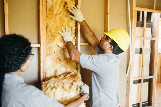 Best Best Insulation Companies  in Riverview Rk, PA