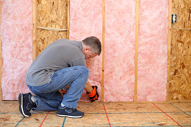 Best Best Insulation Companies  in Riverview Rk, PA